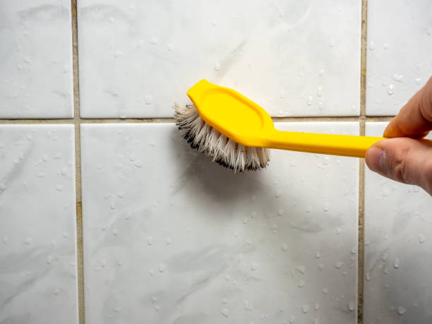 Best Best Mold Removal Companies  in Streamwood, IL