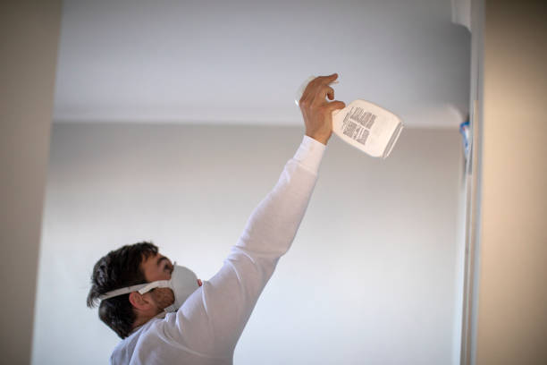 Crawl Space Mold Removal in Streamwood, IL