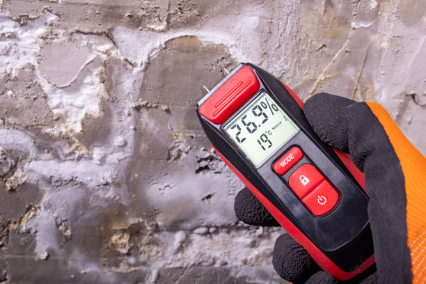 Best Crawl Space Mold Removal  in Streamwood, IL