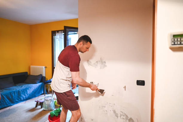 Best Mold Testing  in Streamwood, IL